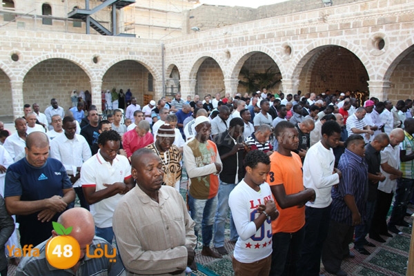 3eed ad7a akber 0510 (32).JPG